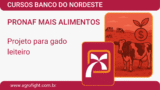 CURSO CCIR, CIB E ITR