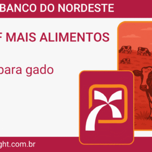 CURSO CCIR, CIB E ITR