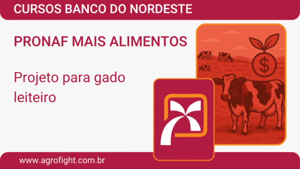 CURSO CCIR, CIB E ITR