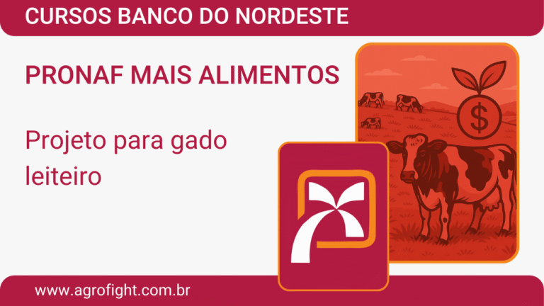 CURSO CCIR, CIB E ITR