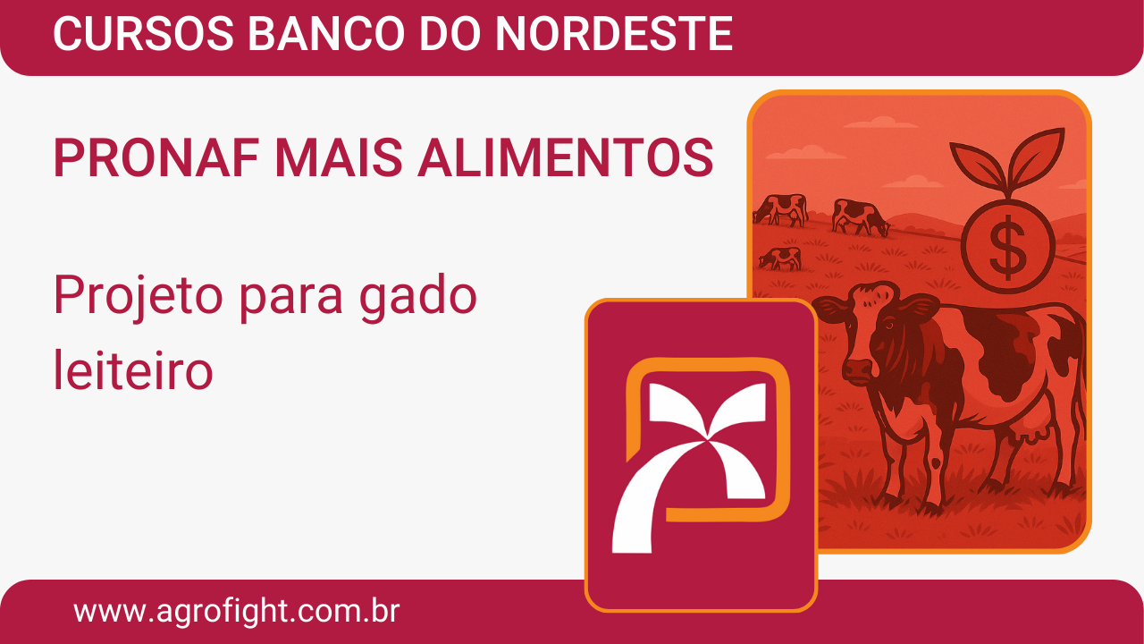 CURSO CCIR, CIB E ITR
